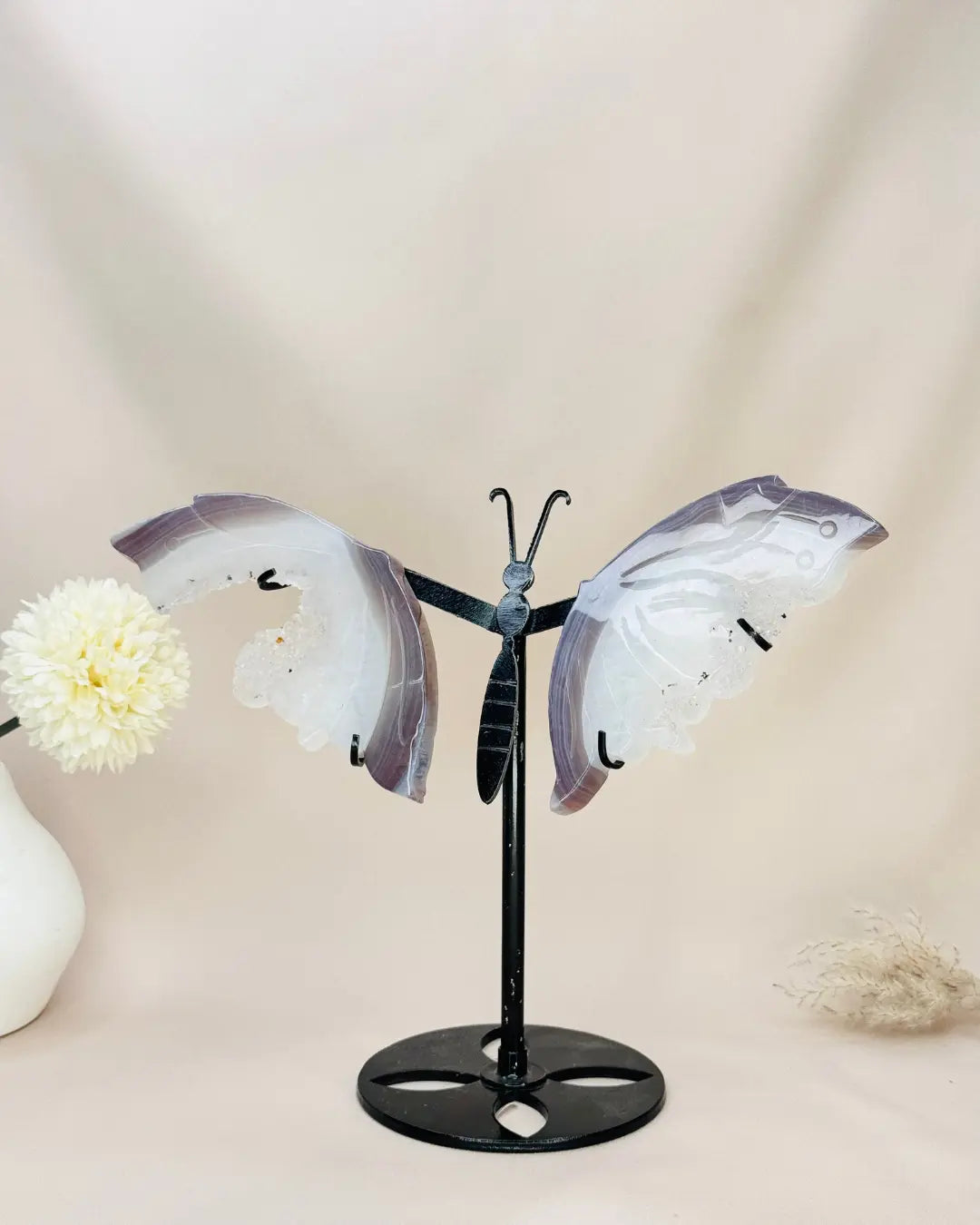 Light-Coded Wings Of Growth - Agate #36