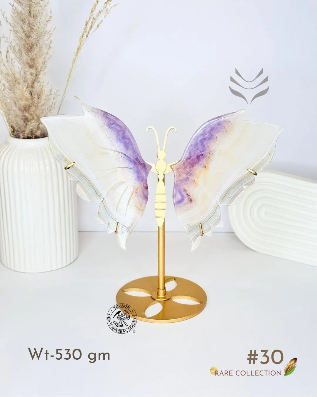 Light-Coded Wings Of Growth - Amethyst Agate #30