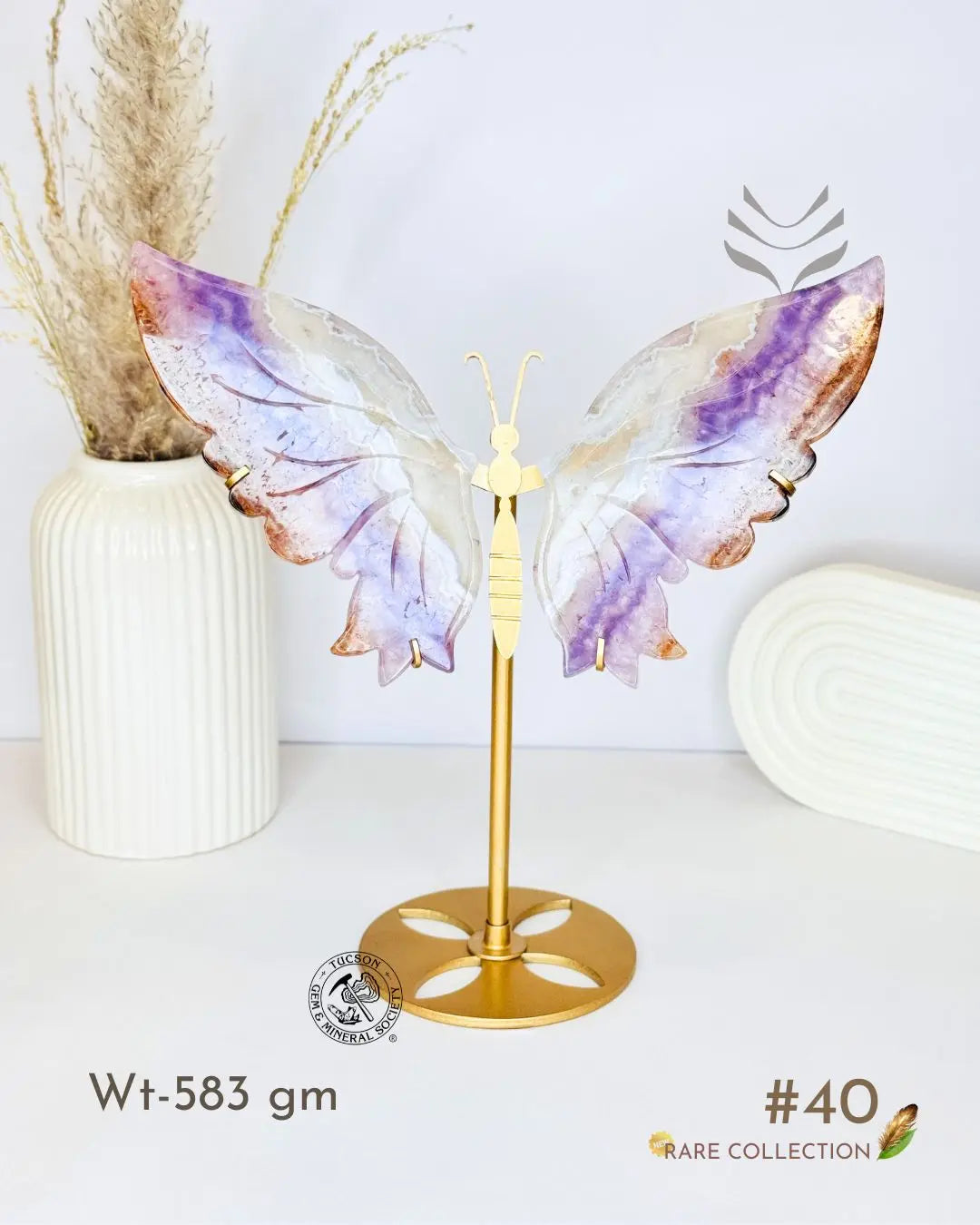 Light-Coded Wings Of Growth - Amethyst Agate #40