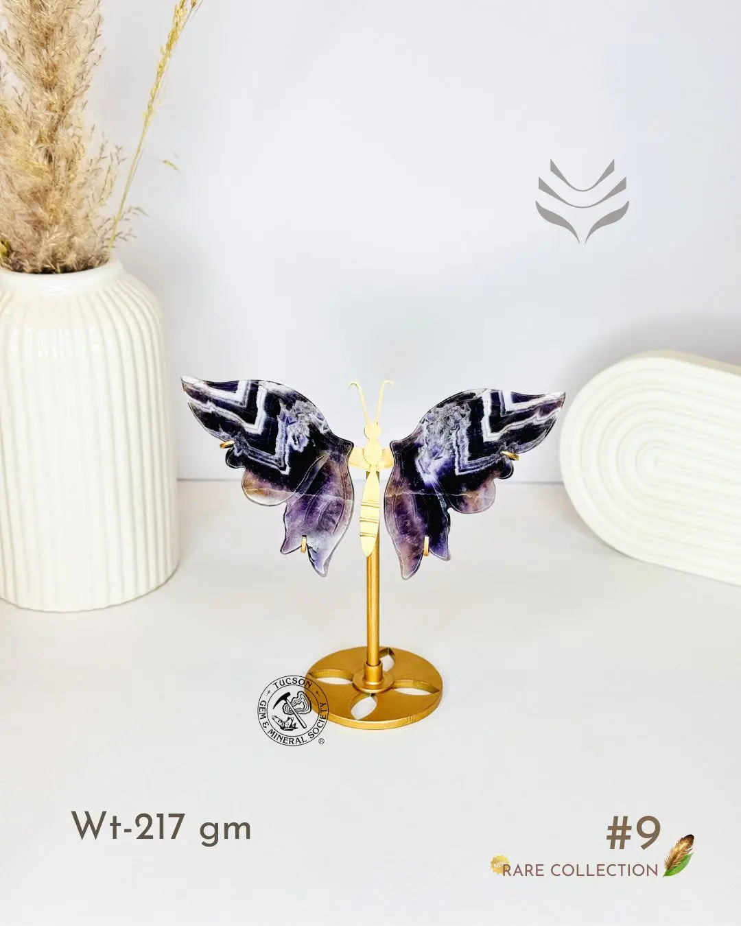 Light-Coded Wings Of Growth - Amethyst #9