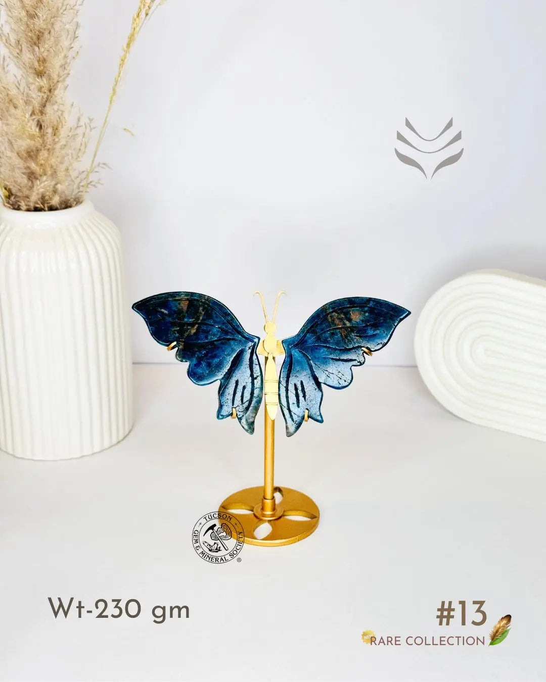 Light-Coded Wings Of Growth - Blue Apatite #13