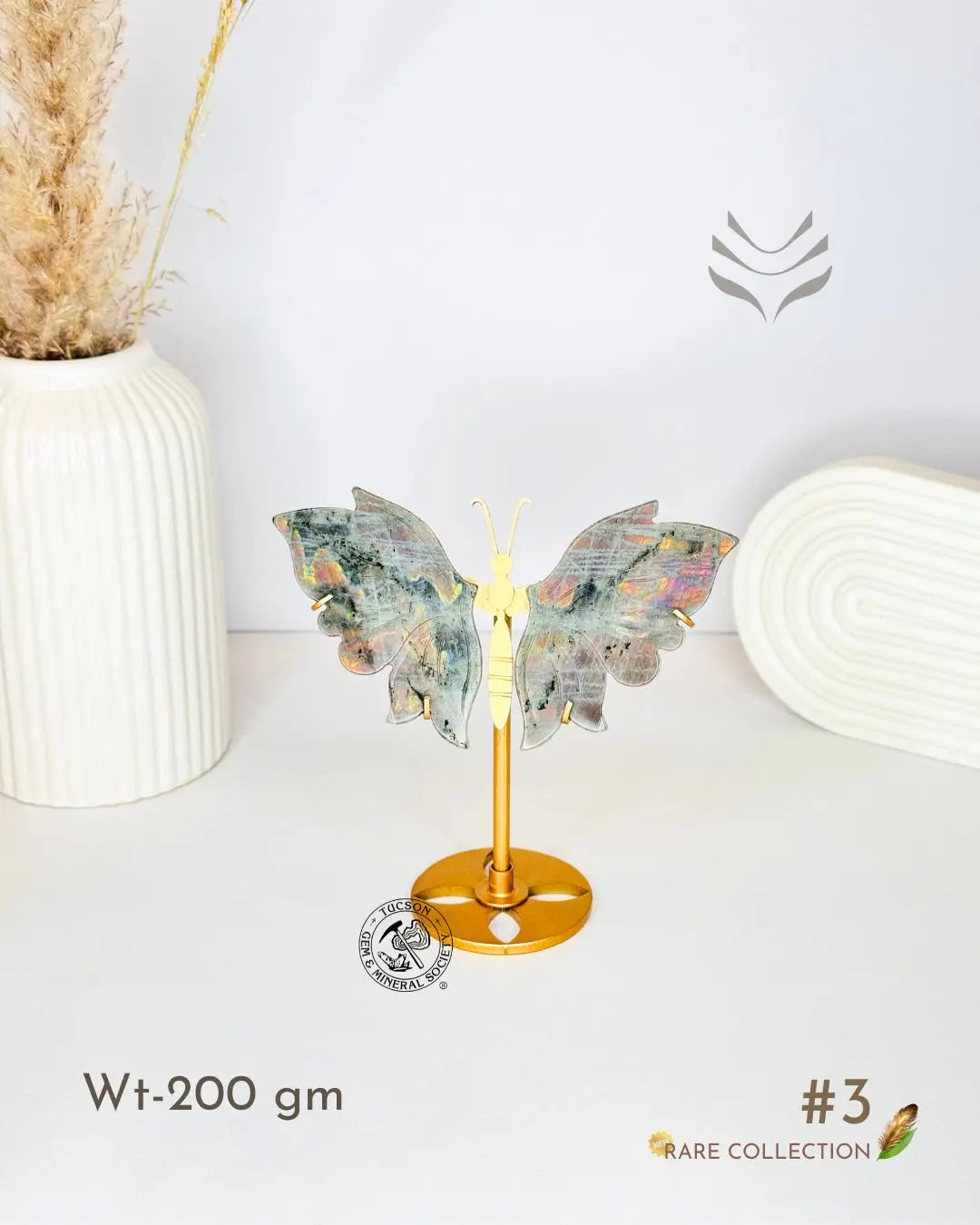 Light-Coded Wings Of Growth - Labradorite #3