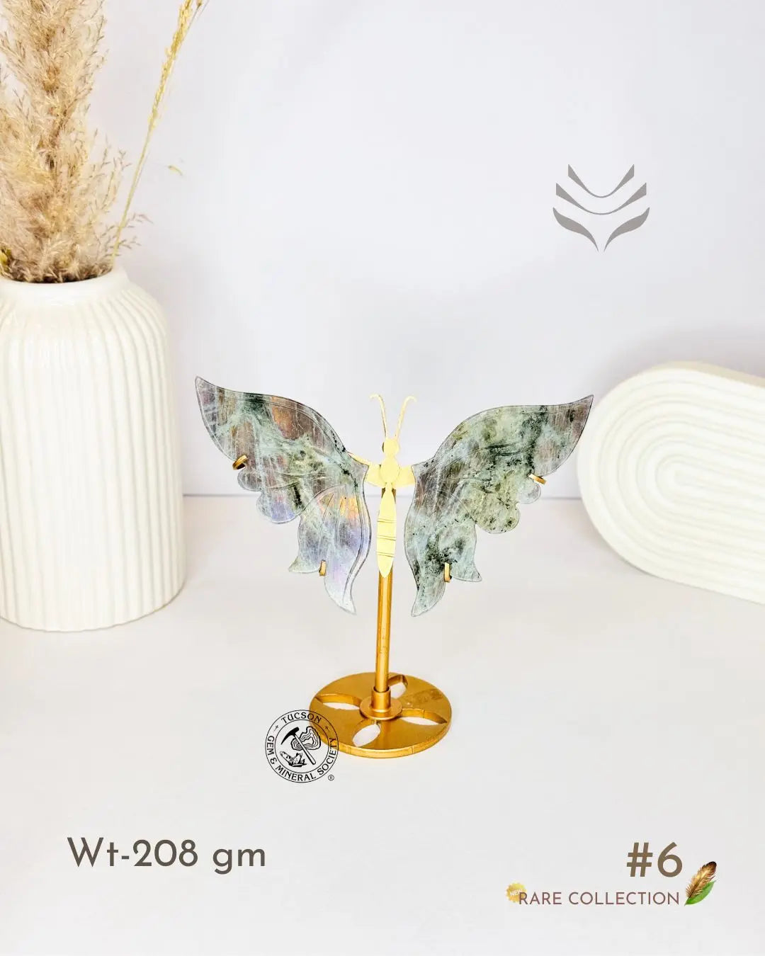 Light-Coded Wings Of Growth - Labradorite #6