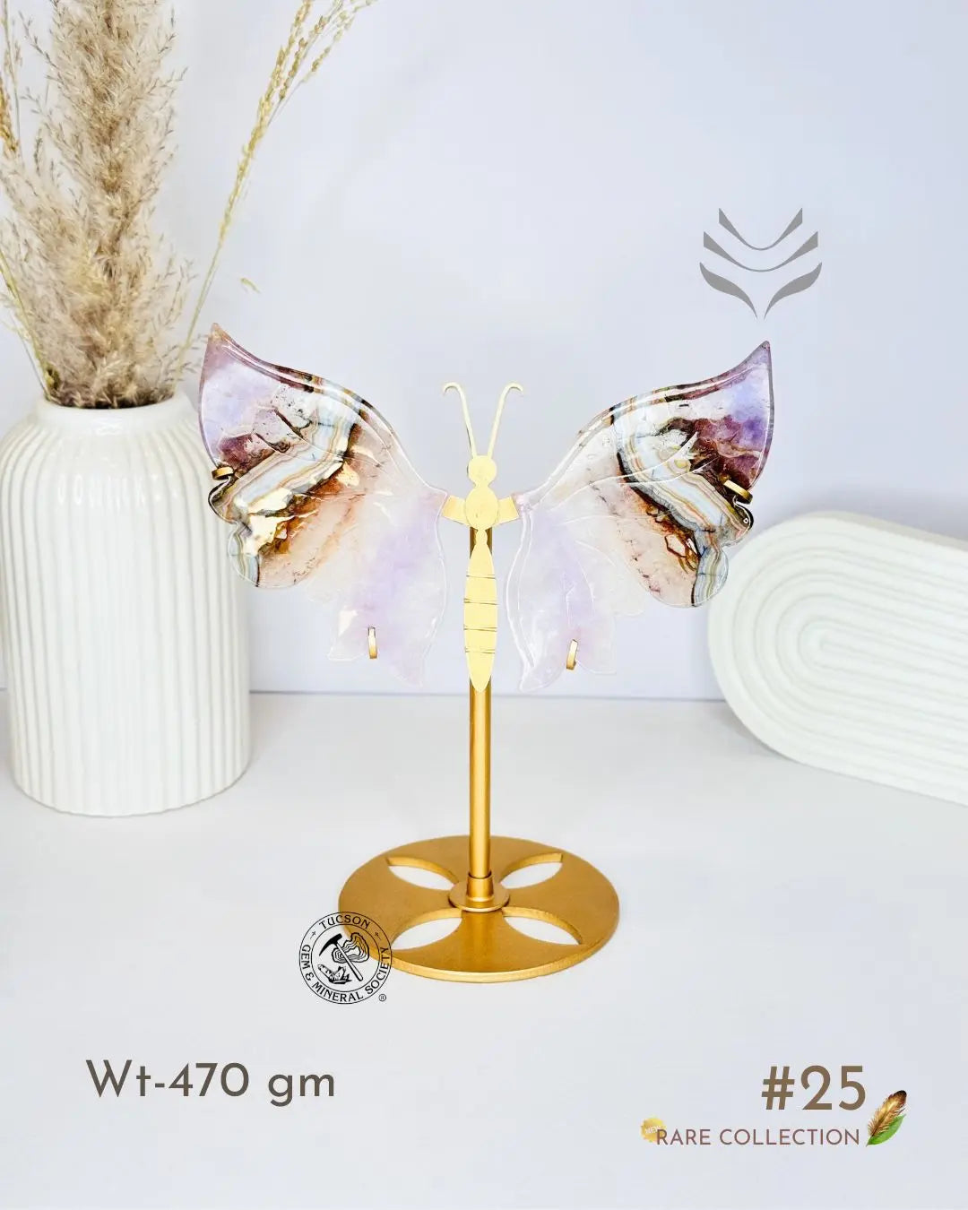 Light-Coded Wings Of Growth - Multi Agate #25