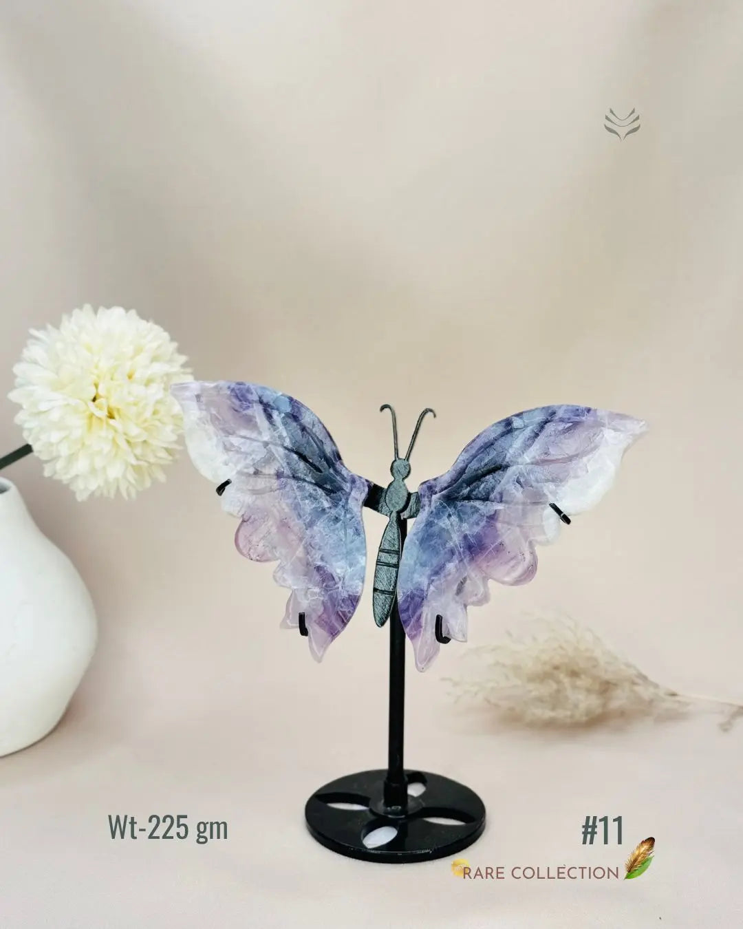 Light-Coded Wings Of Growth - Multi Fluorite #11