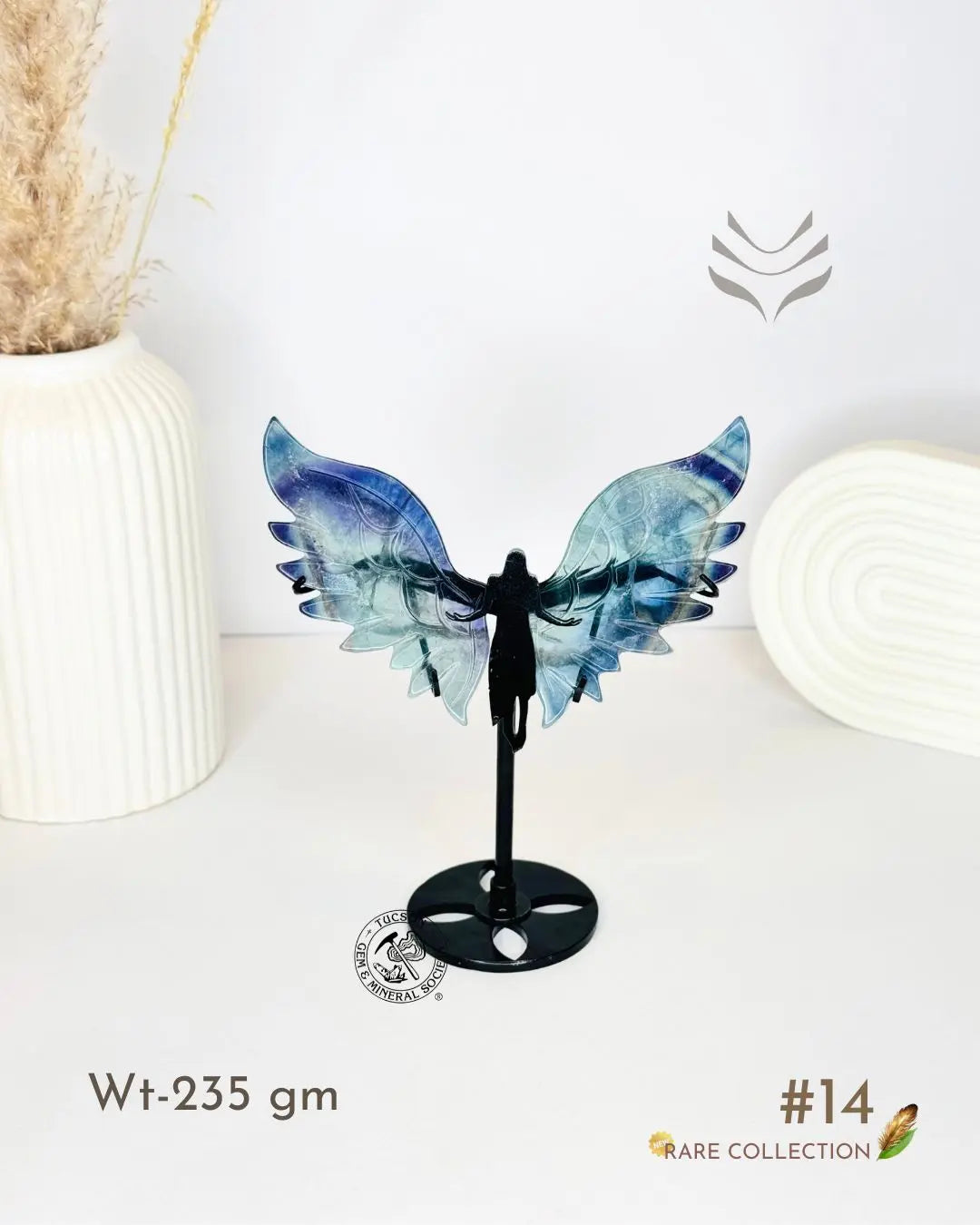 Light-Coded Wings Of Growth - Multi Fluorite #14