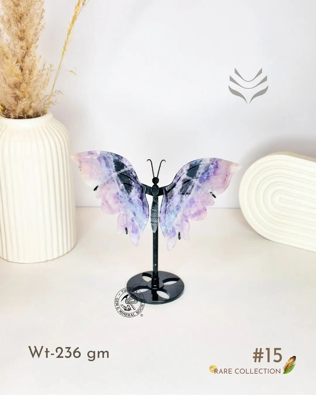 Light-Coded Wings Of Growth - Multi Fluorite #15