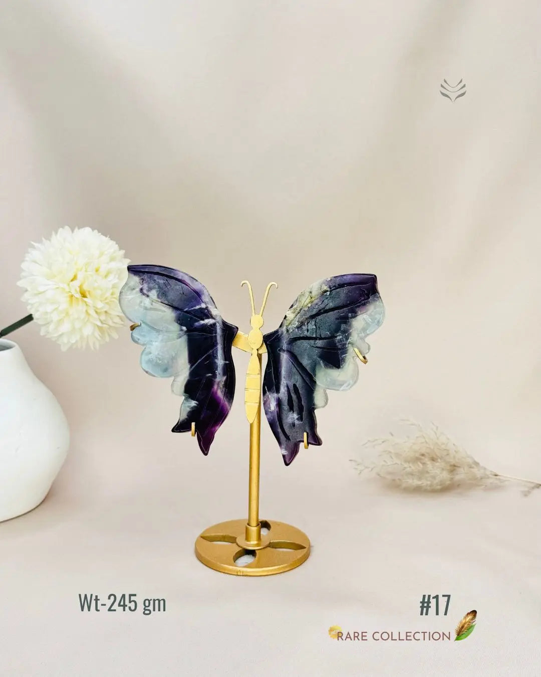 Light-Coded Wings Of Growth - Multi Fluorite #17