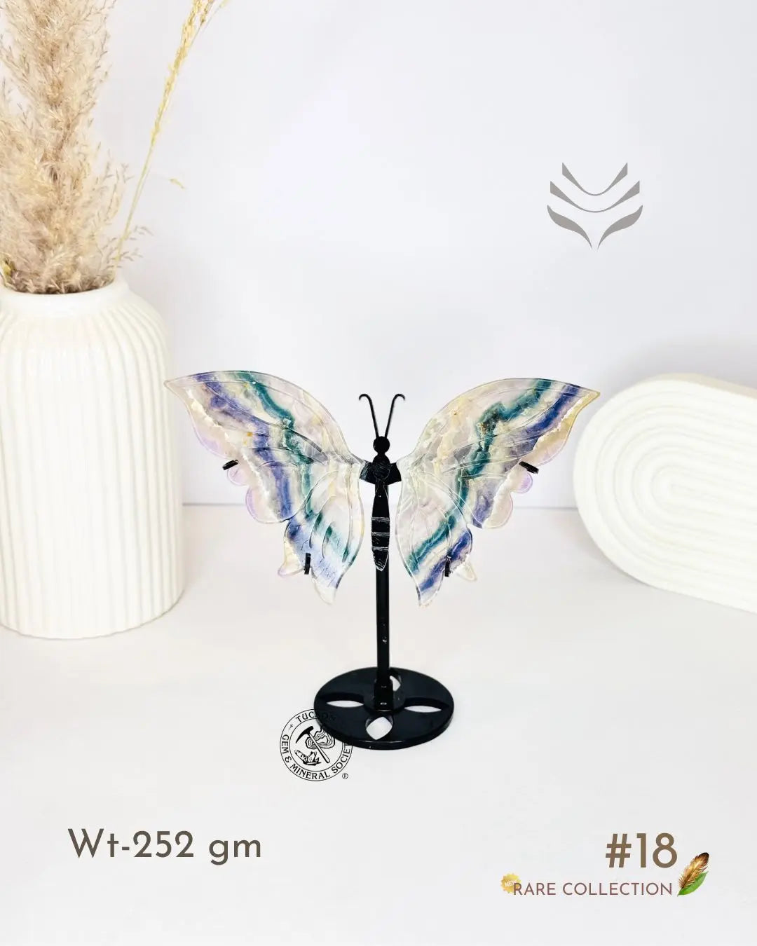 Light-Coded Wings Of Growth - Multi Fluorite #18