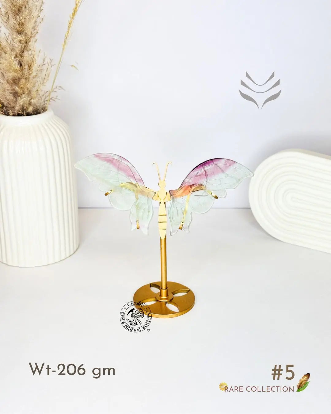 Light-Coded Wings Of Growth - Multi Fluorite #5