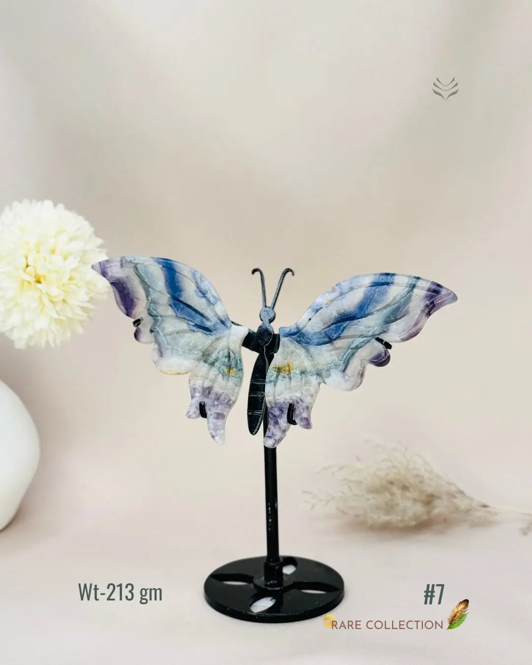 Light-Coded Wings Of Growth - Multi Fluorite #7