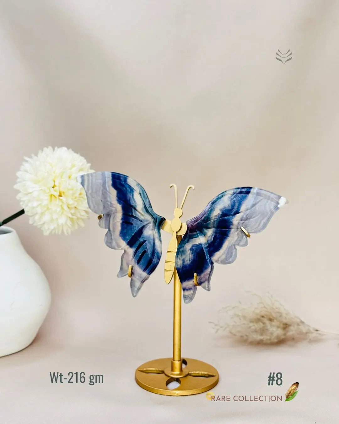 Light-Coded Wings Of Growth - Multi Fluorite #8