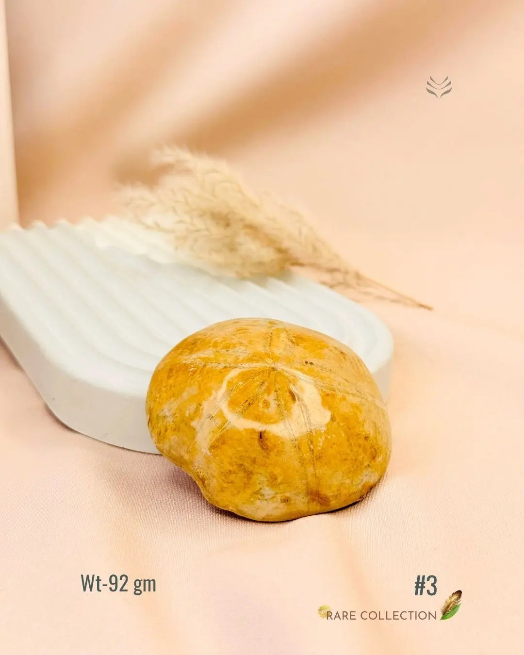 LightCoded Shield Against Envy - Sea Urchin