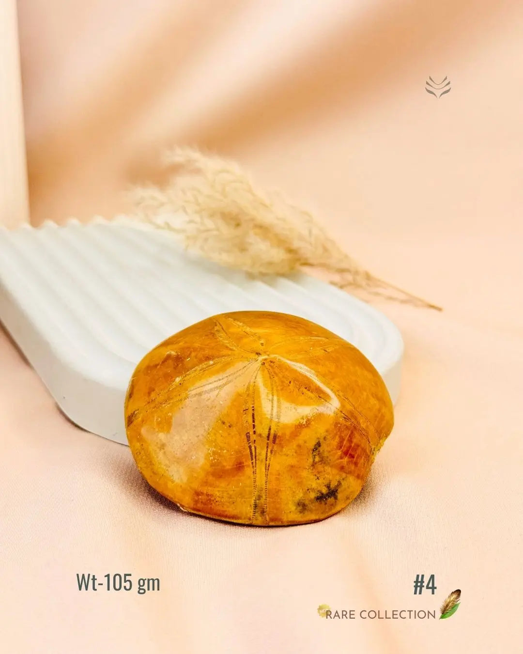 LightCoded Shield Against Envy - Sea Urchin