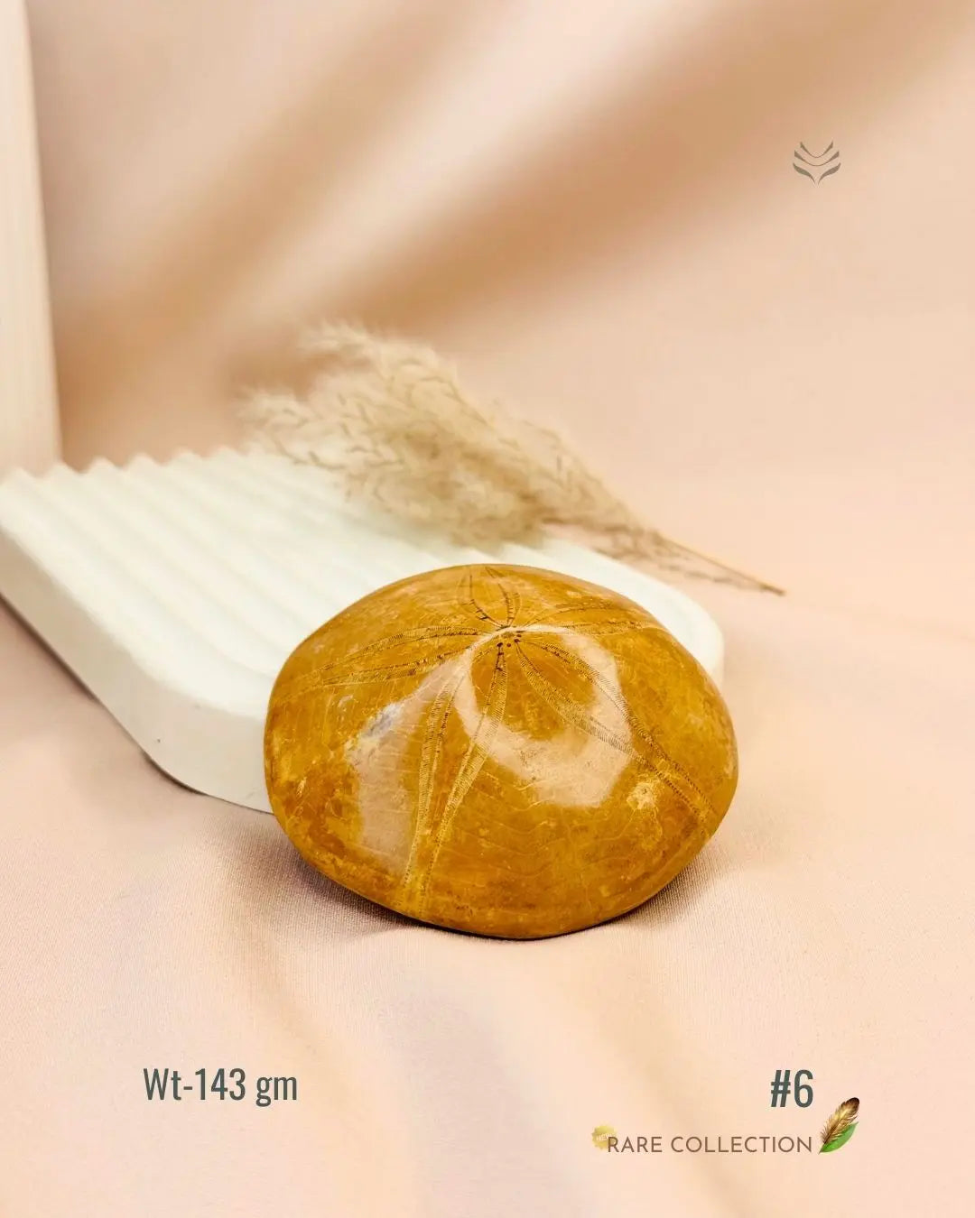 LightCoded Shield Against Envy - Sea Urchin