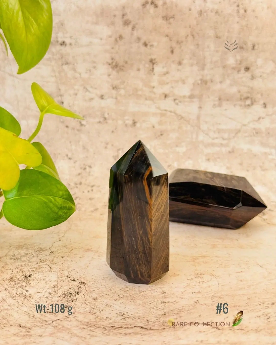 LightCoded Wealth Protector Copper Obsidian