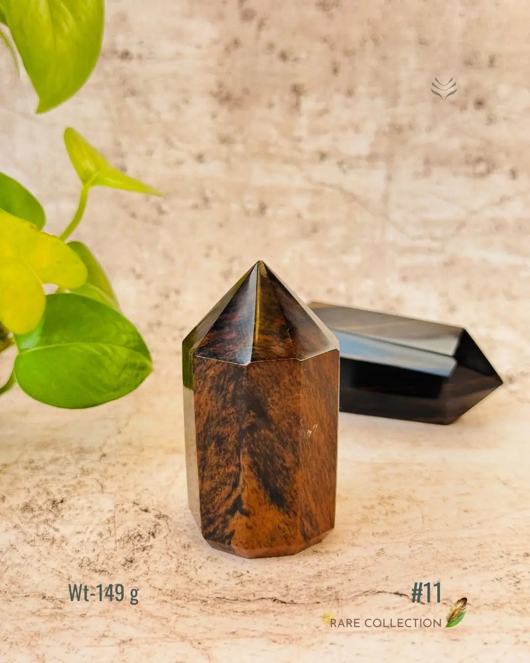 LightCoded Wealth Protector Copper Obsidian