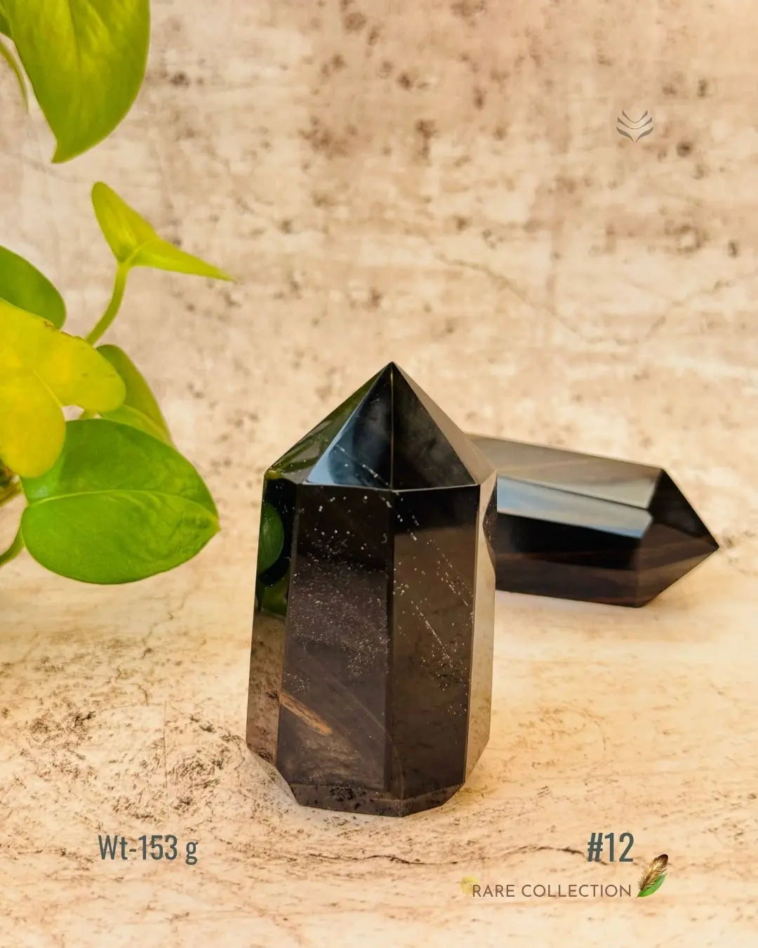 LightCoded Wealth Protector Copper Obsidian