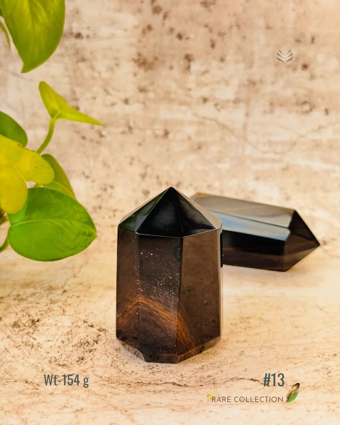 LightCoded Wealth Protector Copper Obsidian