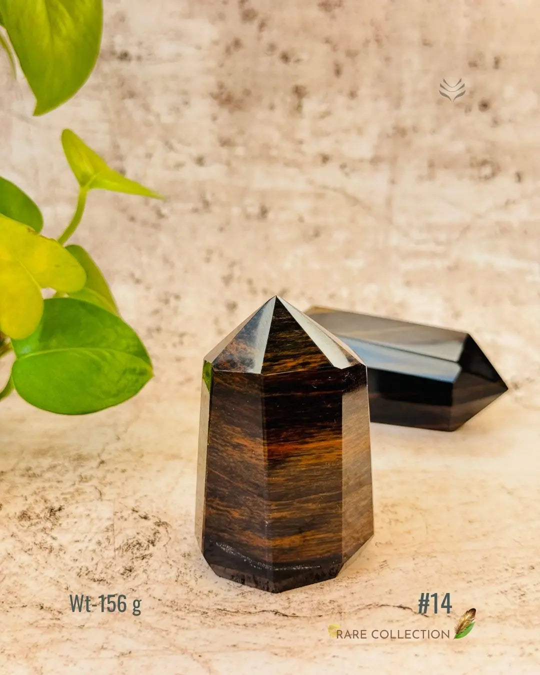 LightCoded Wealth Protector Copper Obsidian