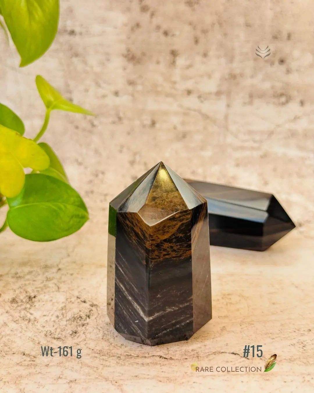 LightCoded Wealth Protector Copper Obsidian