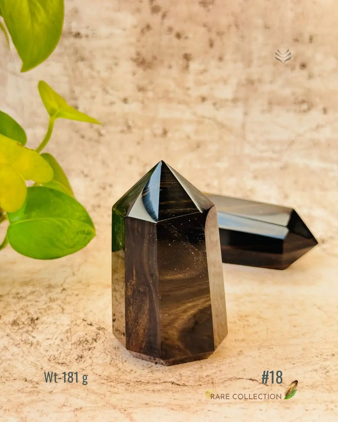 LightCoded Wealth Protector Copper Obsidian