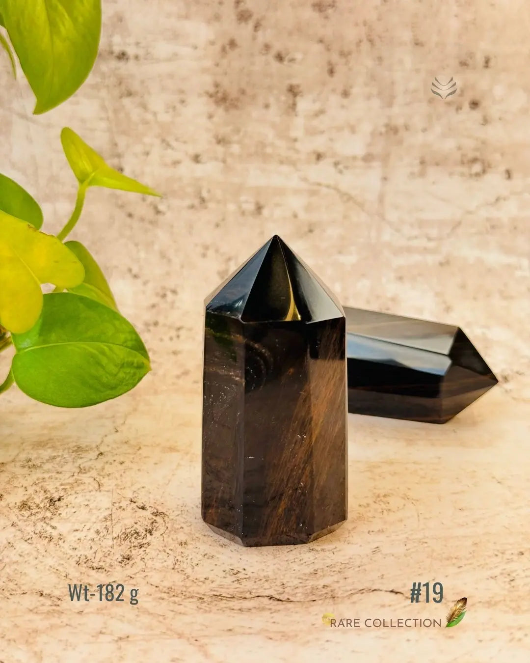 LightCoded Wealth Protector Copper Obsidian