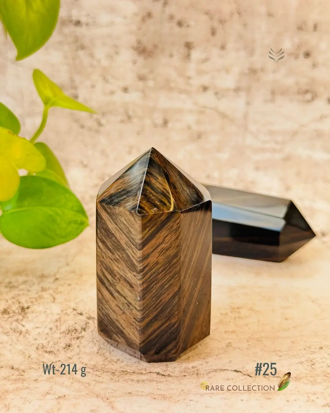 LightCoded Wealth Protector Copper Obsidian