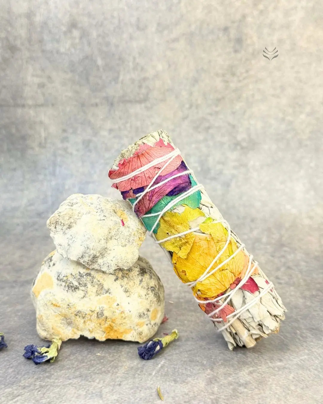 Lightcoded 7 Chakra Sage