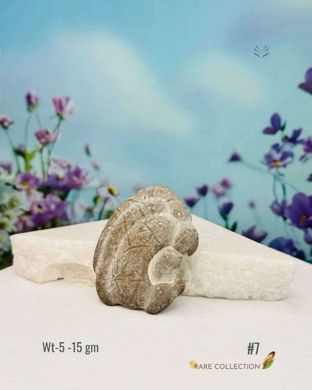 Lightcoded Fairy Stone - Magical Footprint