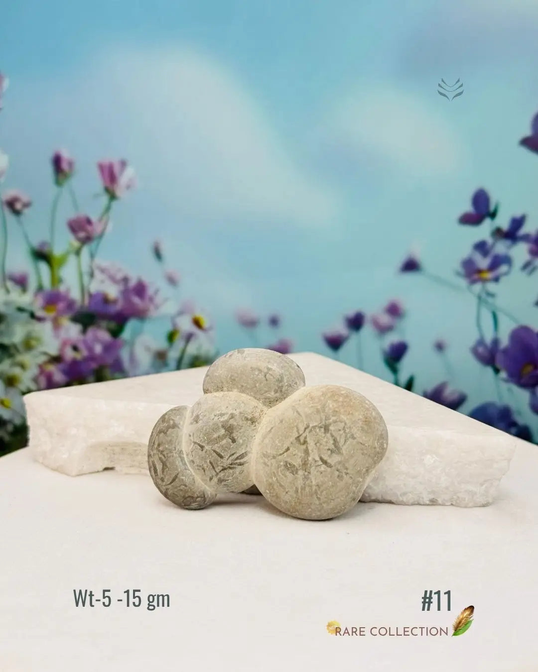 Lightcoded Fairy Stone - Magical Footprint