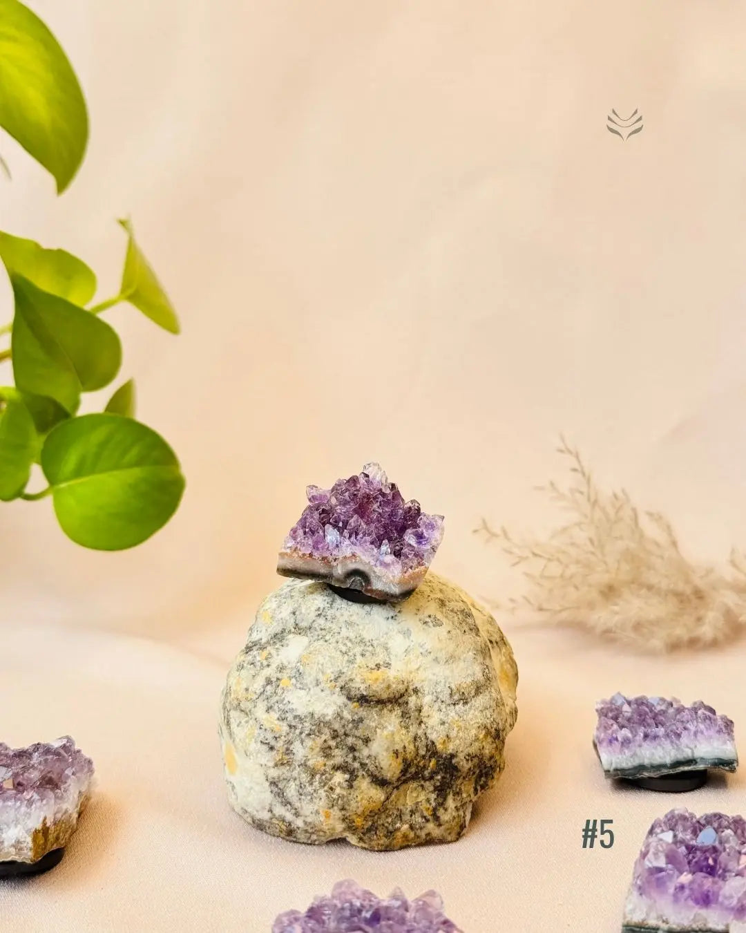 Lightcoded Good Health Fridge Magnets - Amethyst