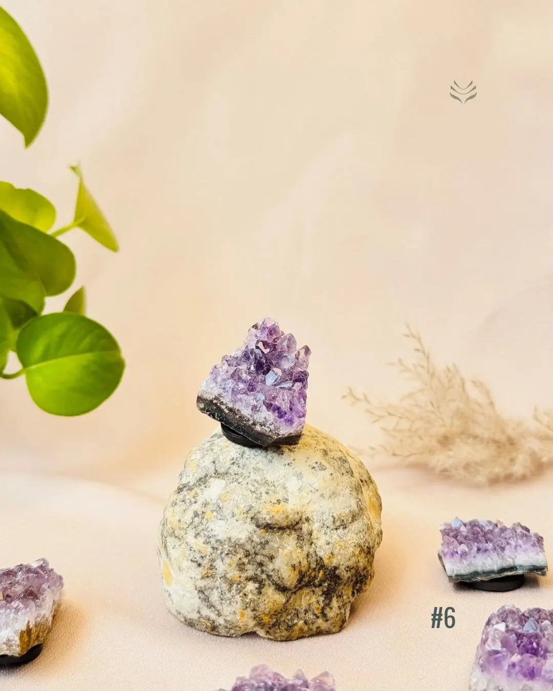 Lightcoded Good Health Fridge Magnets - Amethyst