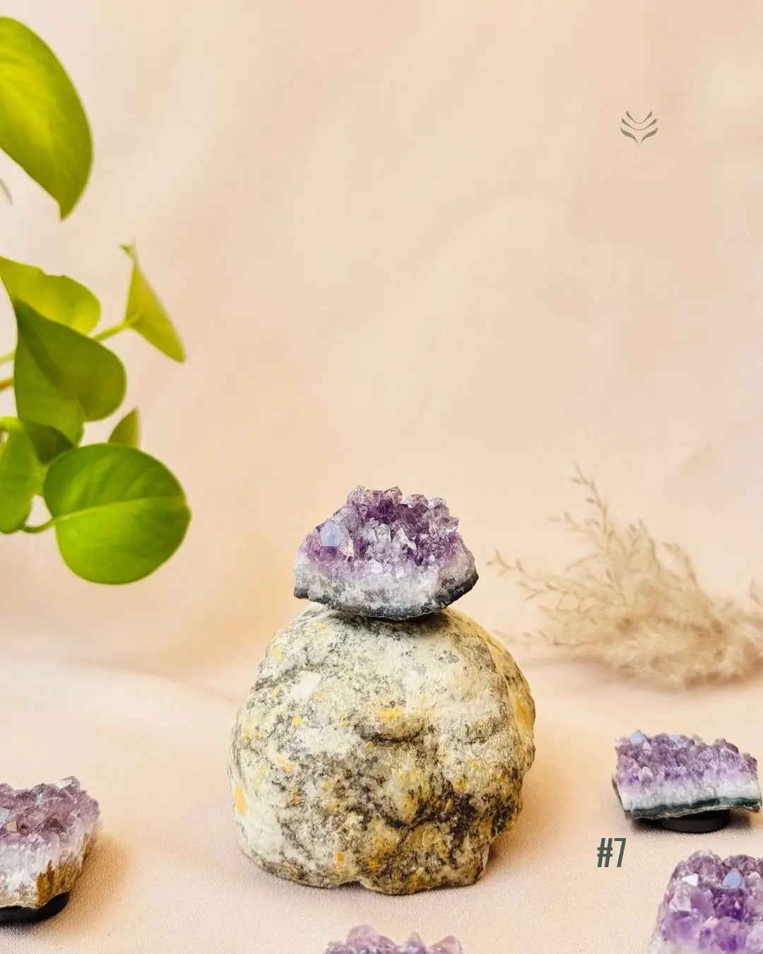 Lightcoded Good Health Fridge Magnets - Amethyst