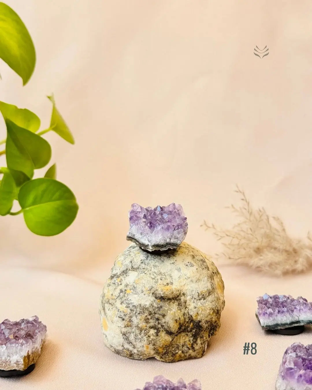 Lightcoded Good Health Fridge Magnets - Amethyst