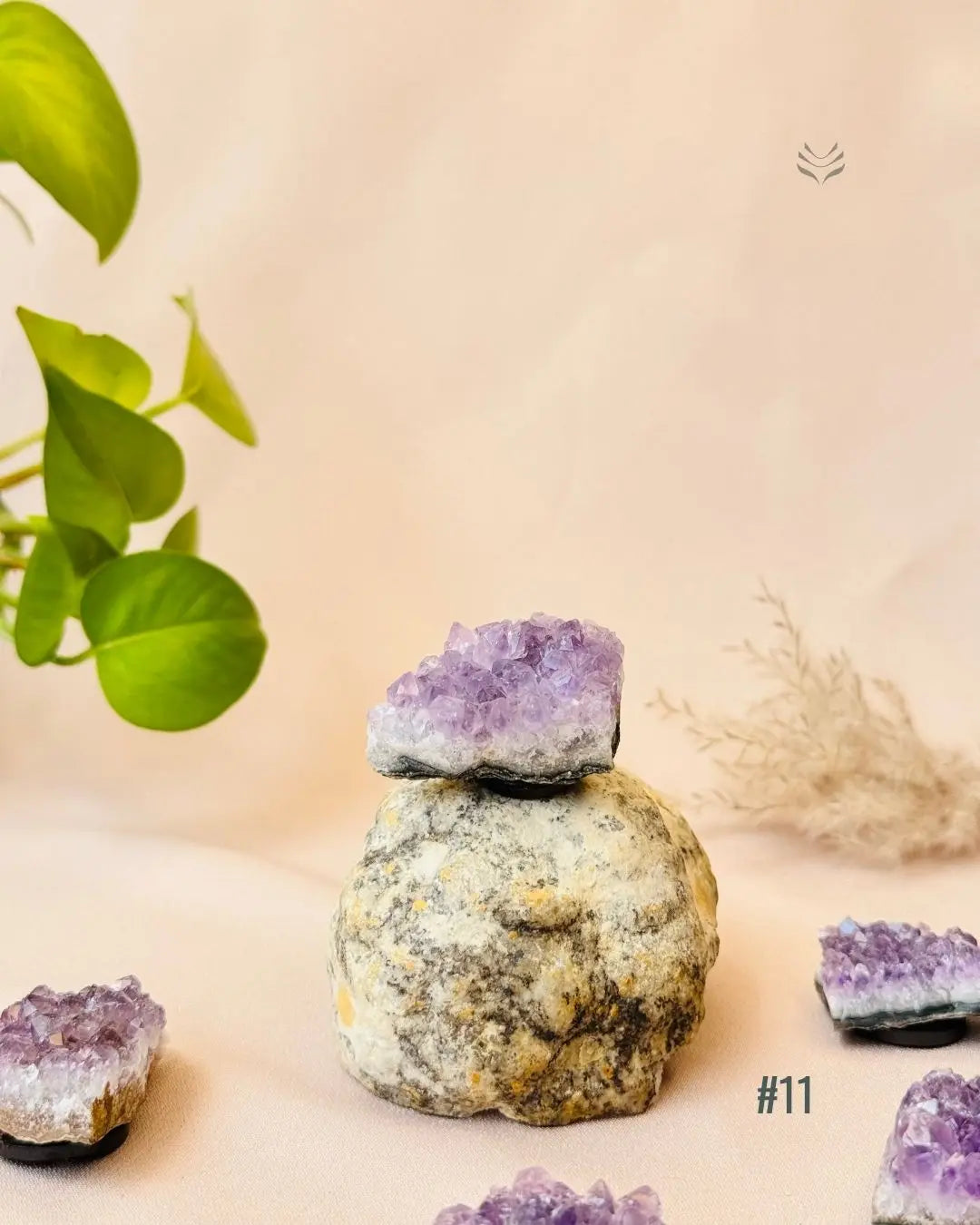 Lightcoded Good Health Fridge Magnets - Amethyst