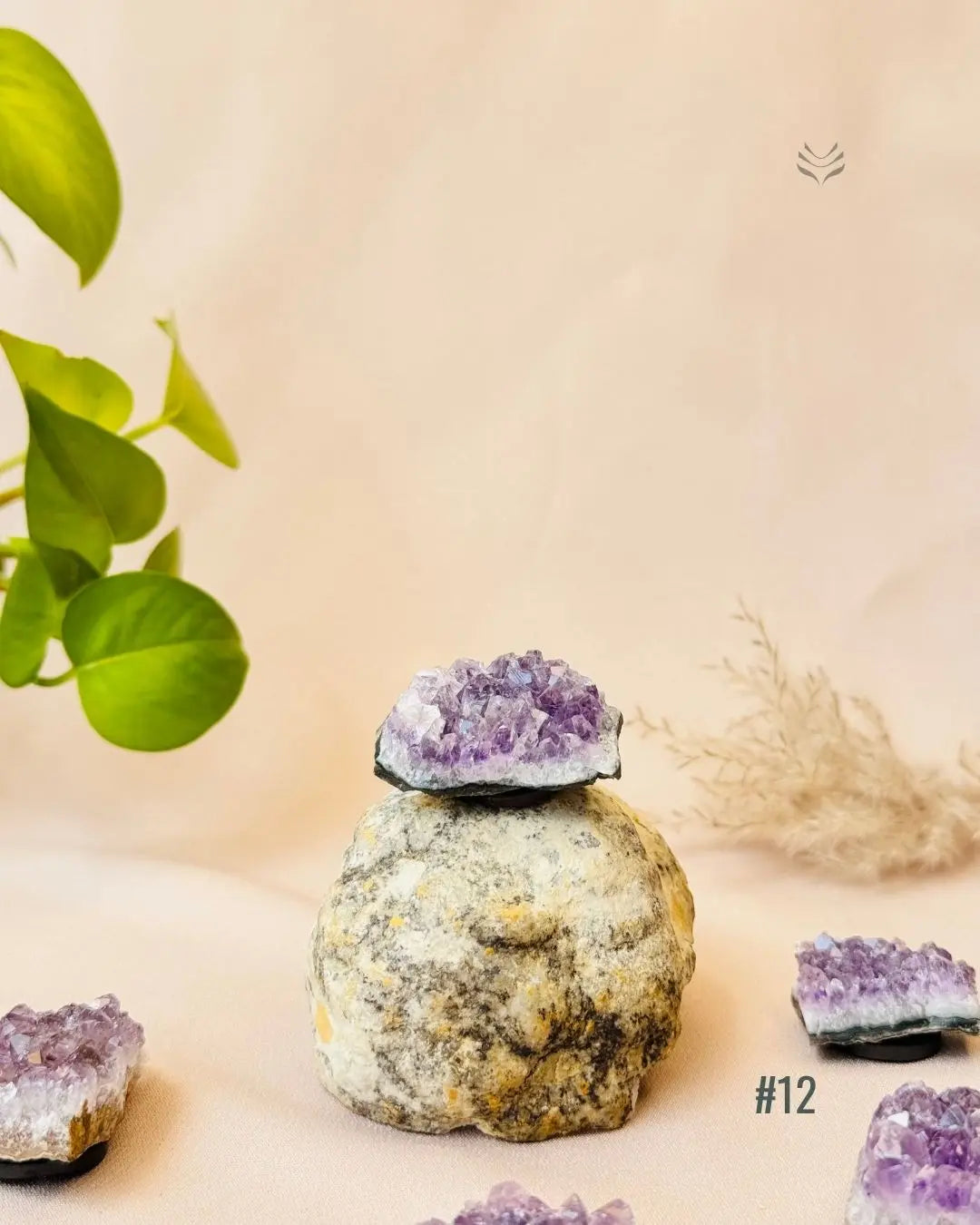 Lightcoded Good Health Fridge Magnets - Amethyst