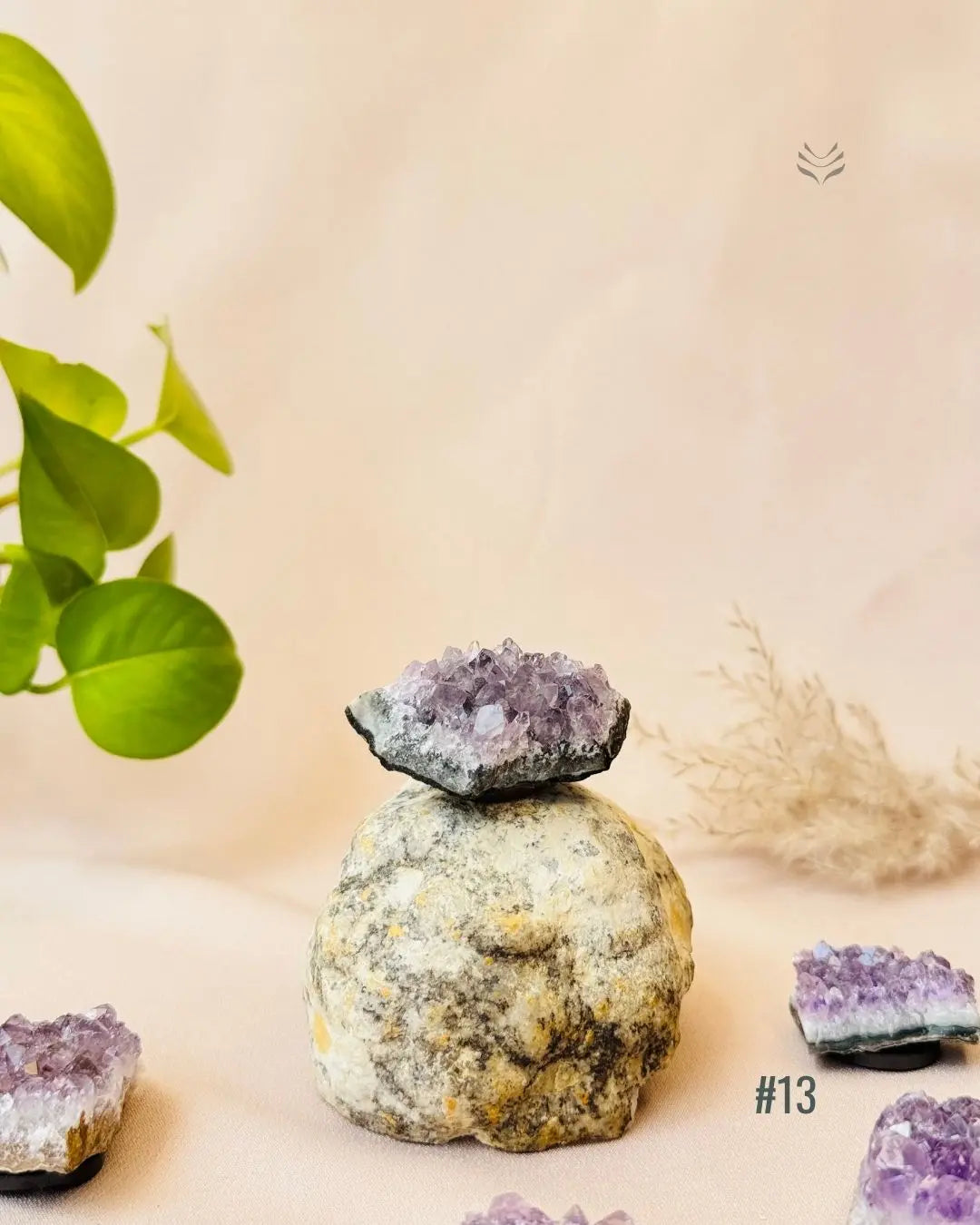 Lightcoded Good Health Fridge Magnets - Amethyst