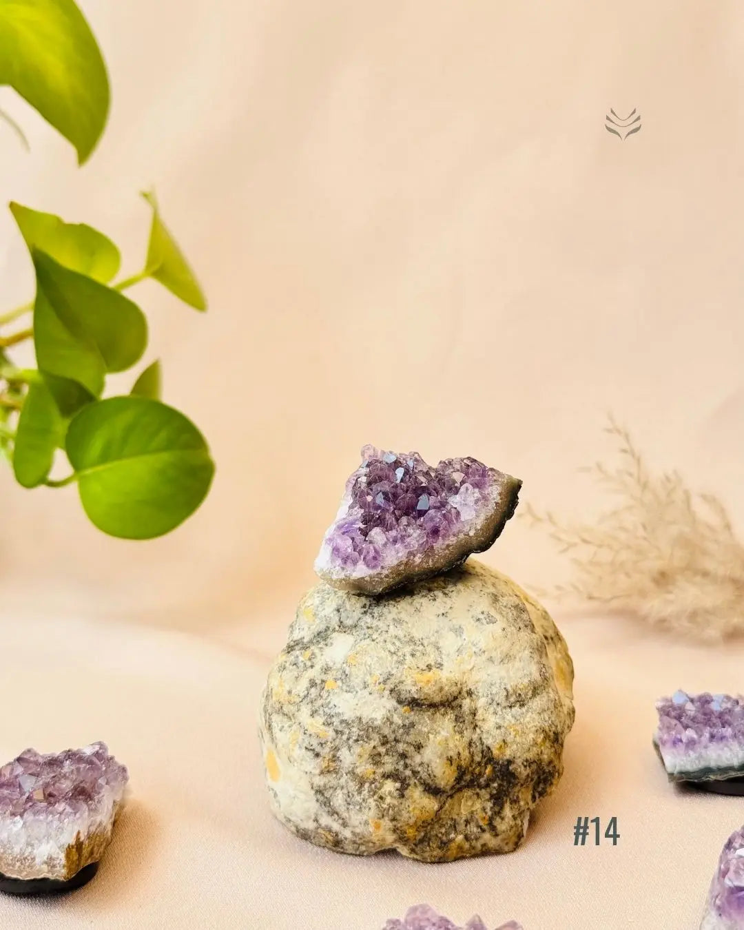 Lightcoded Good Health Fridge Magnets - Amethyst