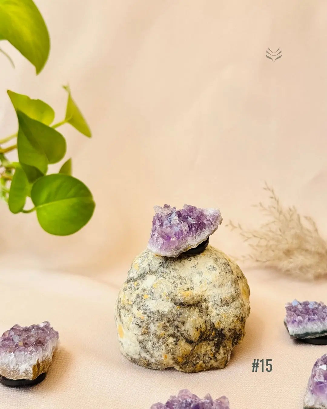 Lightcoded Good Health Fridge Magnets - Amethyst