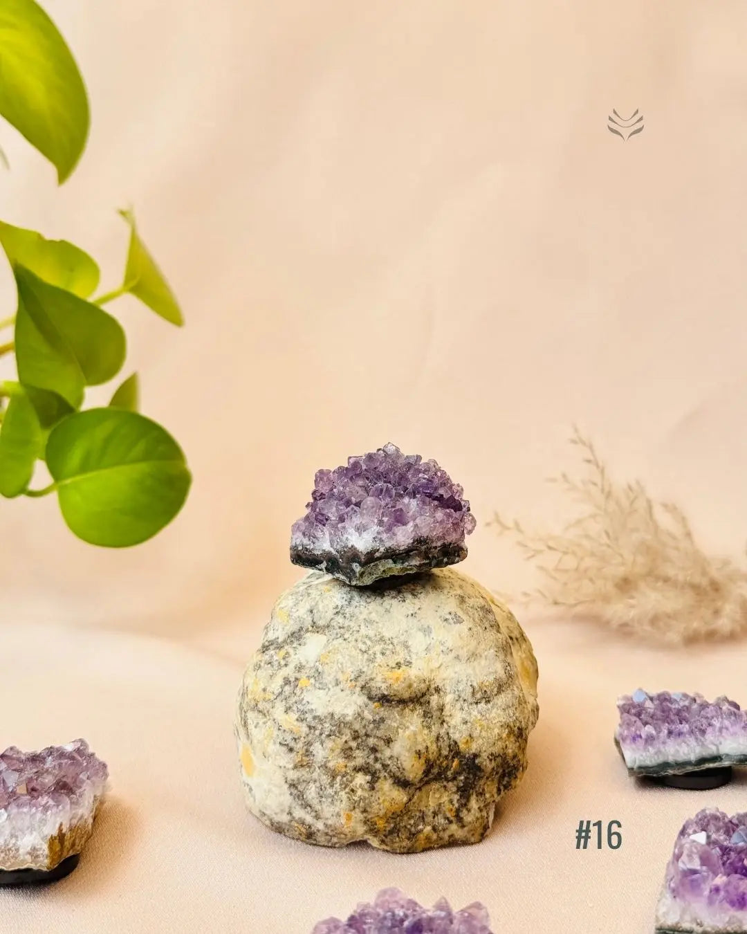 Lightcoded Good Health Fridge Magnets - Amethyst