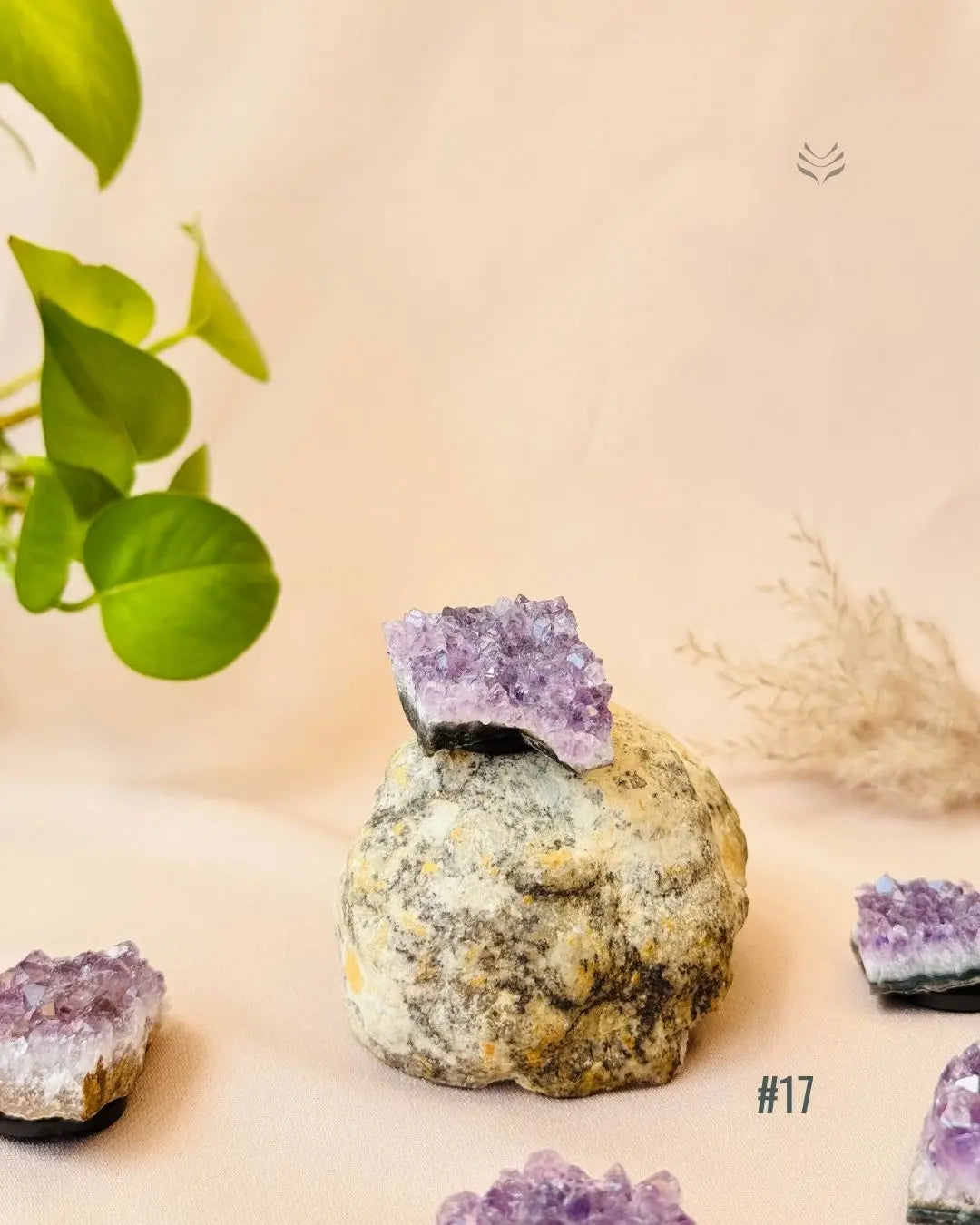 Lightcoded Good Health Fridge Magnets - Amethyst