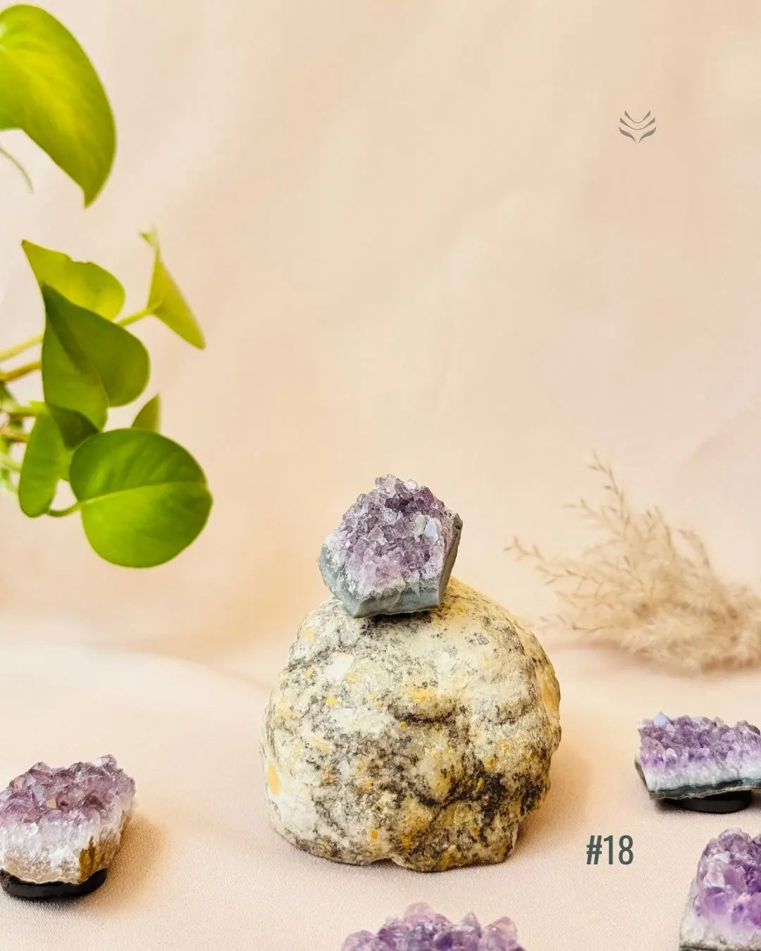 Lightcoded Good Health Fridge Magnets - Amethyst