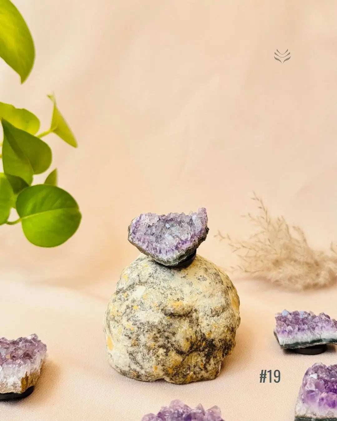 Lightcoded Good Health Fridge Magnets - Amethyst