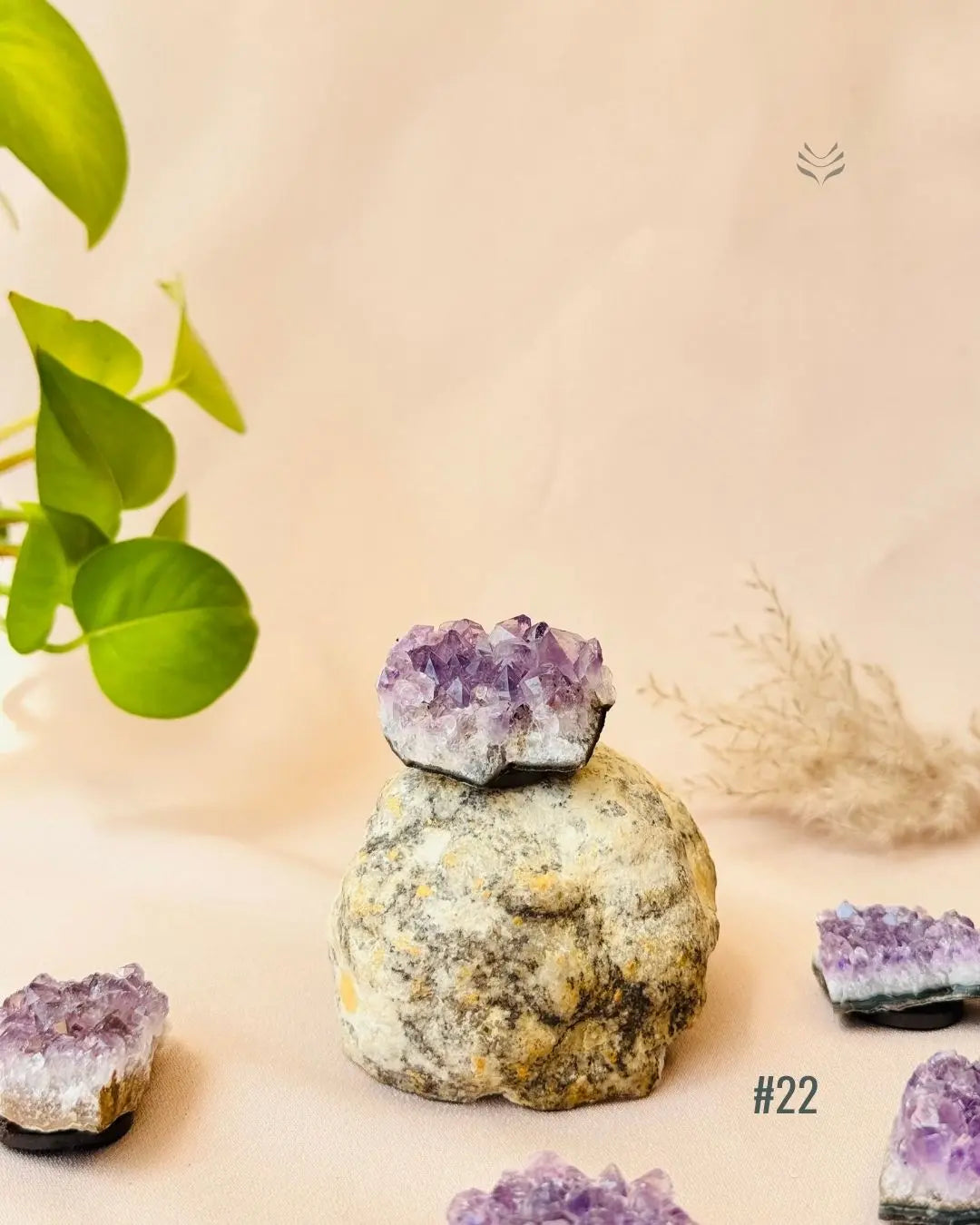 Lightcoded Good Health Fridge Magnets - Amethyst