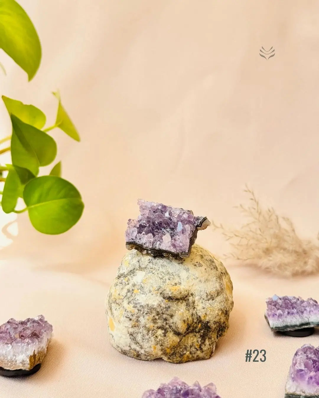 Lightcoded Good Health Fridge Magnets - Amethyst