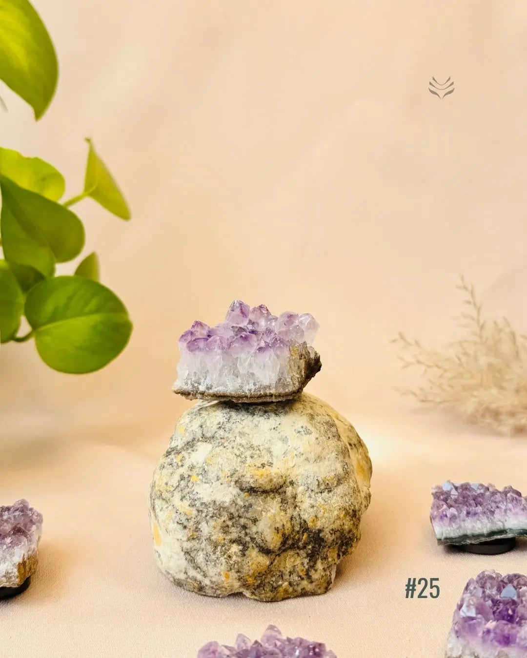 Lightcoded Good Health Fridge Magnets - Amethyst