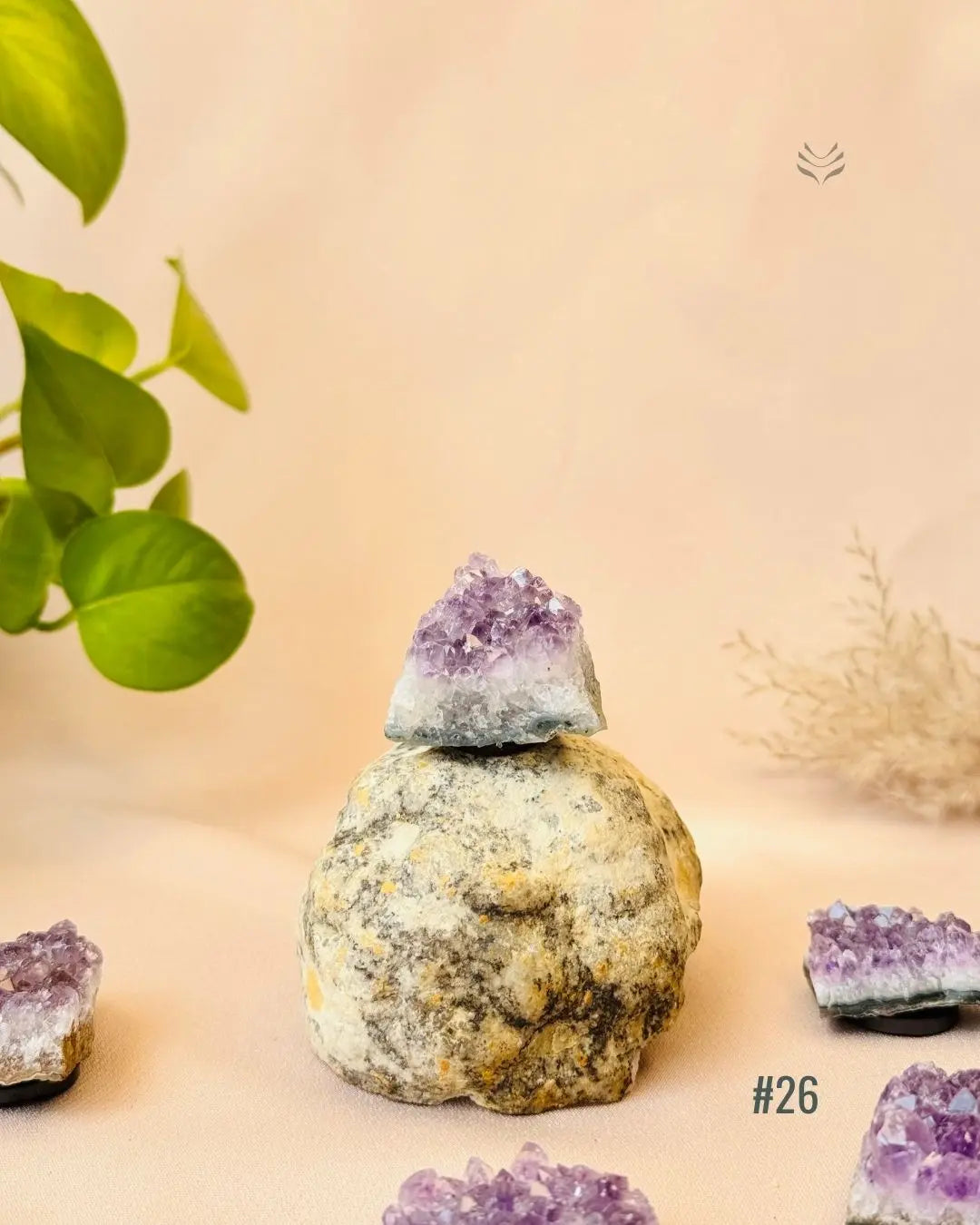 Lightcoded Good Health Fridge Magnets - Amethyst