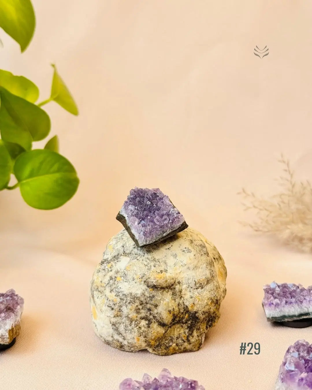 Lightcoded Good Health Fridge Magnets - Amethyst