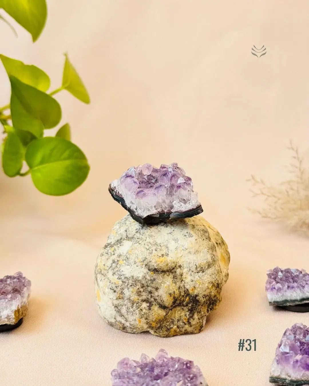 Lightcoded Good Health Fridge Magnets - Amethyst